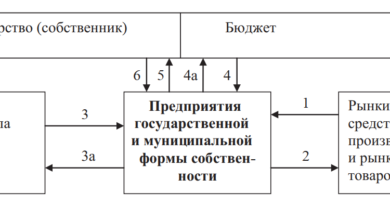 Система денежных потоков при государственном и муниципальном финансировании