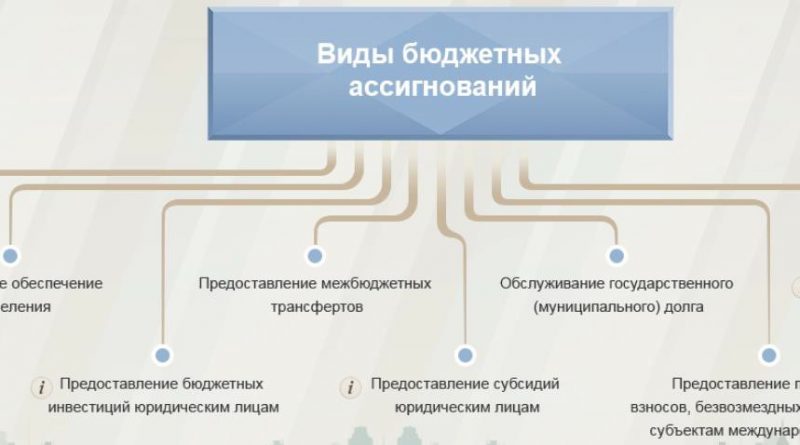 Перечень видов бюджетных ассигнований