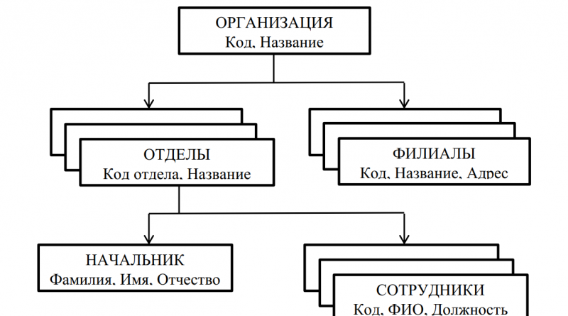 Иерархическая модель данных организации