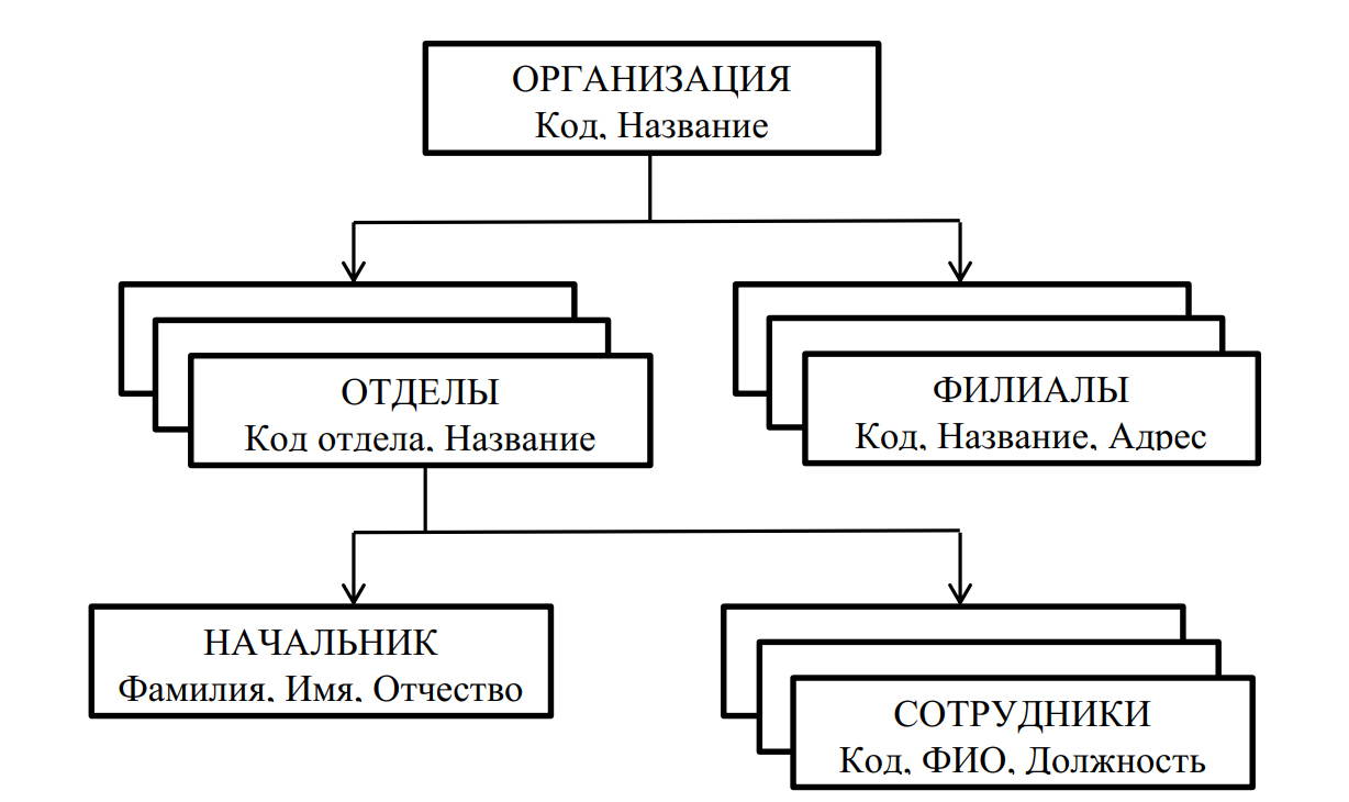 Иерархическая модель данных организации